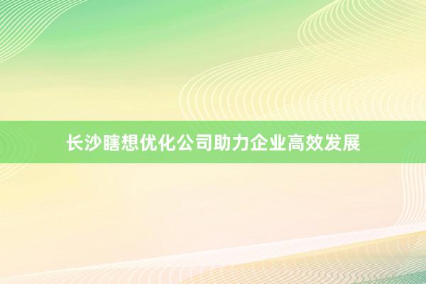 长沙瞎想优化公司助力企业高效发展
